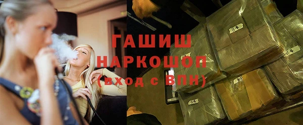 шишки Покачи