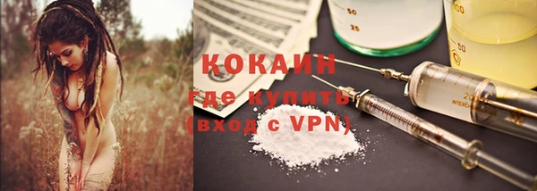 шишки Покачи