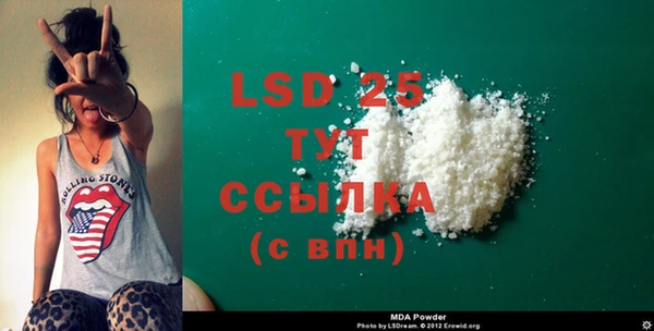 шишки Покачи