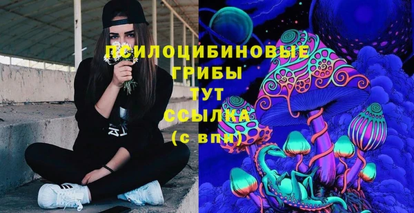 PSILOCYBIN Абинск