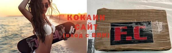 шишки Покачи