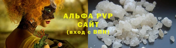 шишки Покачи