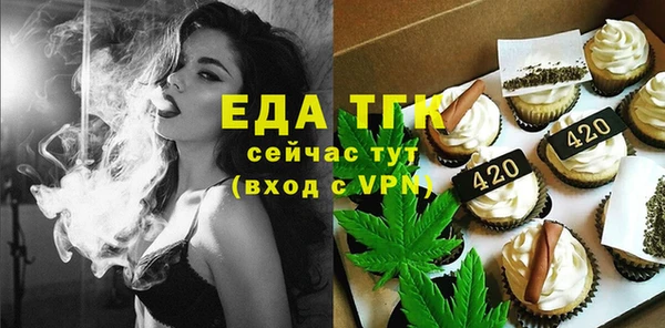 шишки Покачи
