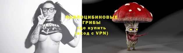 шишки Покачи