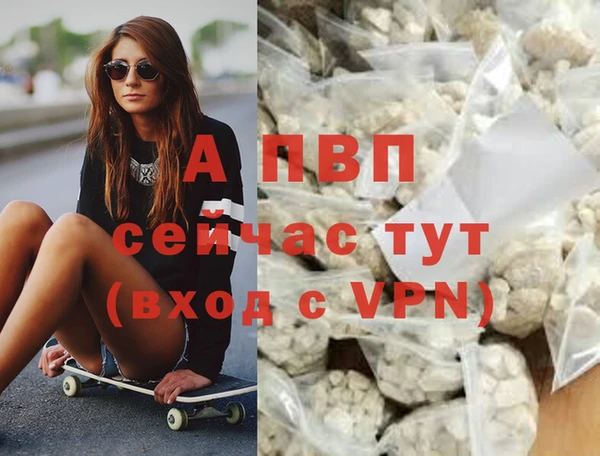 ГАЛЛЮЦИНОГЕННЫЕ ГРИБЫ Покров