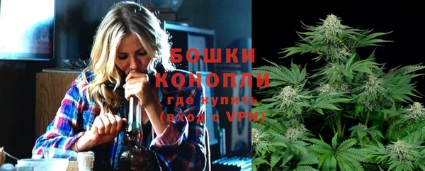 ГАЛЛЮЦИНОГЕННЫЕ ГРИБЫ Покров