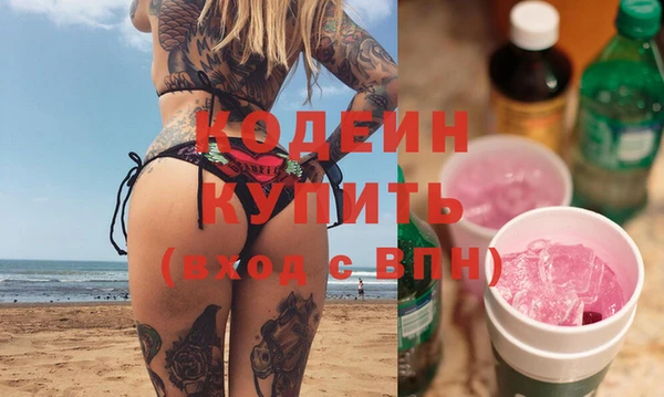 шишки Покачи