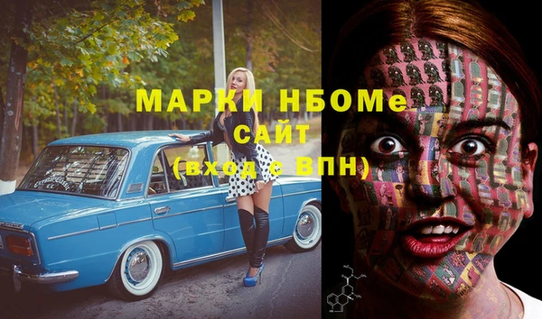 шишки Покачи