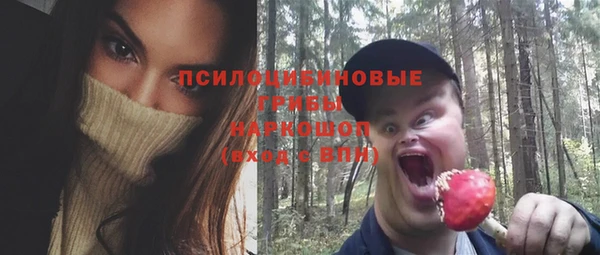 крисы Покровск