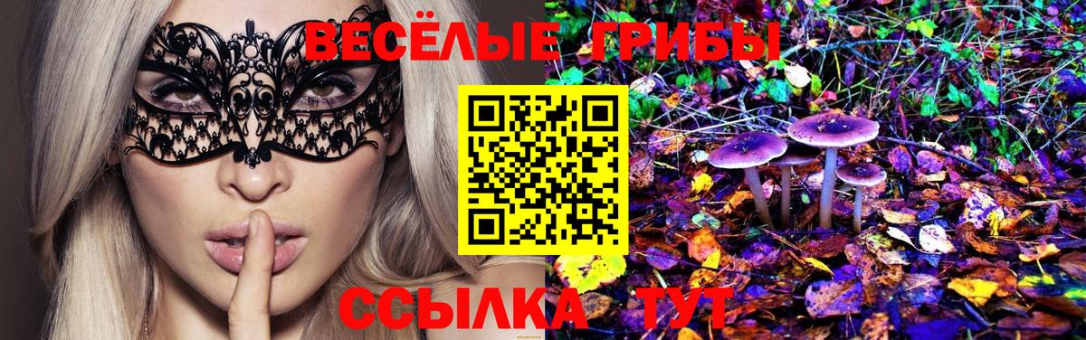 Псилоцибиновые грибы прущие грибы  Вход с VPN  Моршанск 